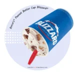 Dairy Queen Peanut Butter Cup Blizzard