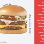 Double patty double cheese stackburger from Dairy Queen with text listing many of the ingredients in the cheeseburger.