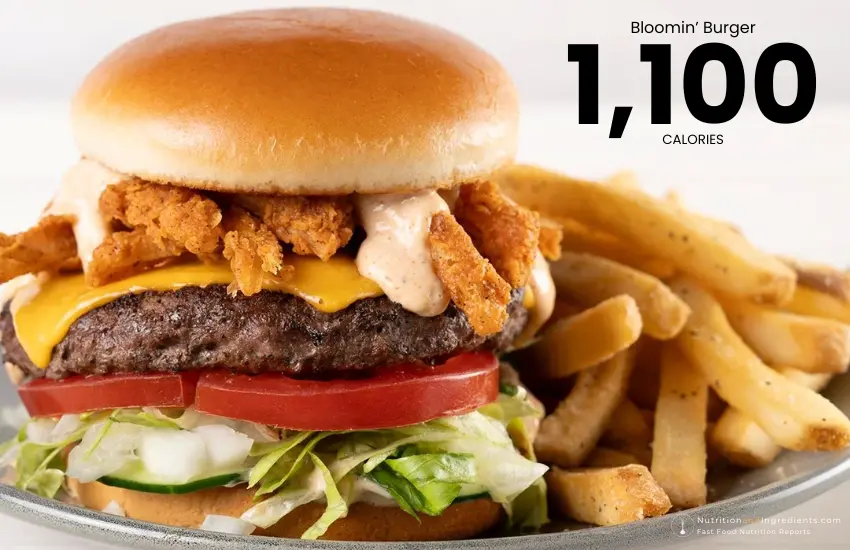 Outback Steakhouse burger and fries