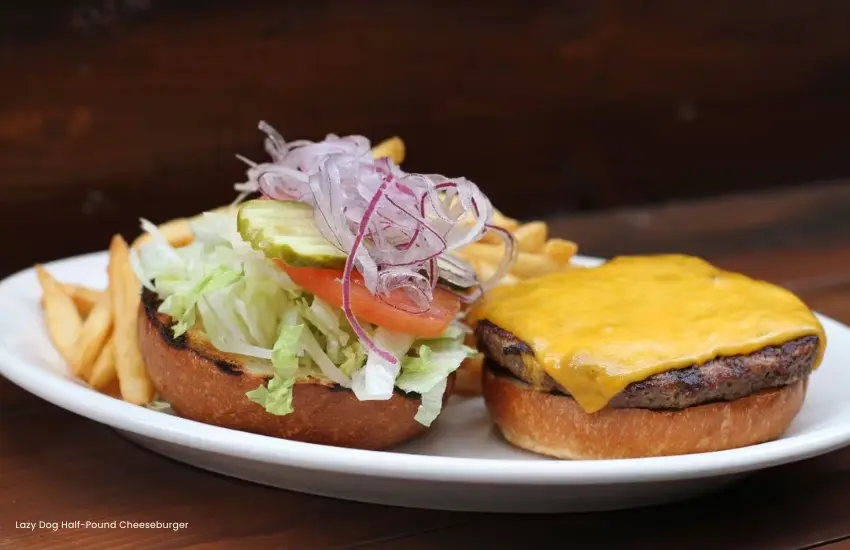 Lazy Dog restaurant half-pound cheeseburger
