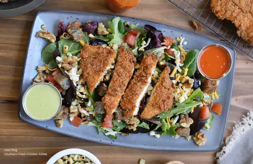Salad topped with Southern Fried Chicken from Lazy Dog restaurant